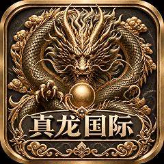 真龙国际